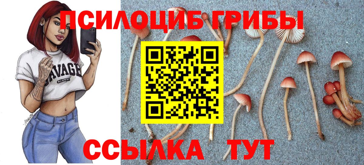 Псилоцибиновые грибы мицелий  Галлюциногенные грибы Psilocybine cubensis  Вход с VPN  Минеральные Воды 
